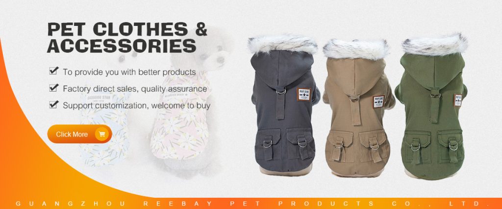 pet clothes